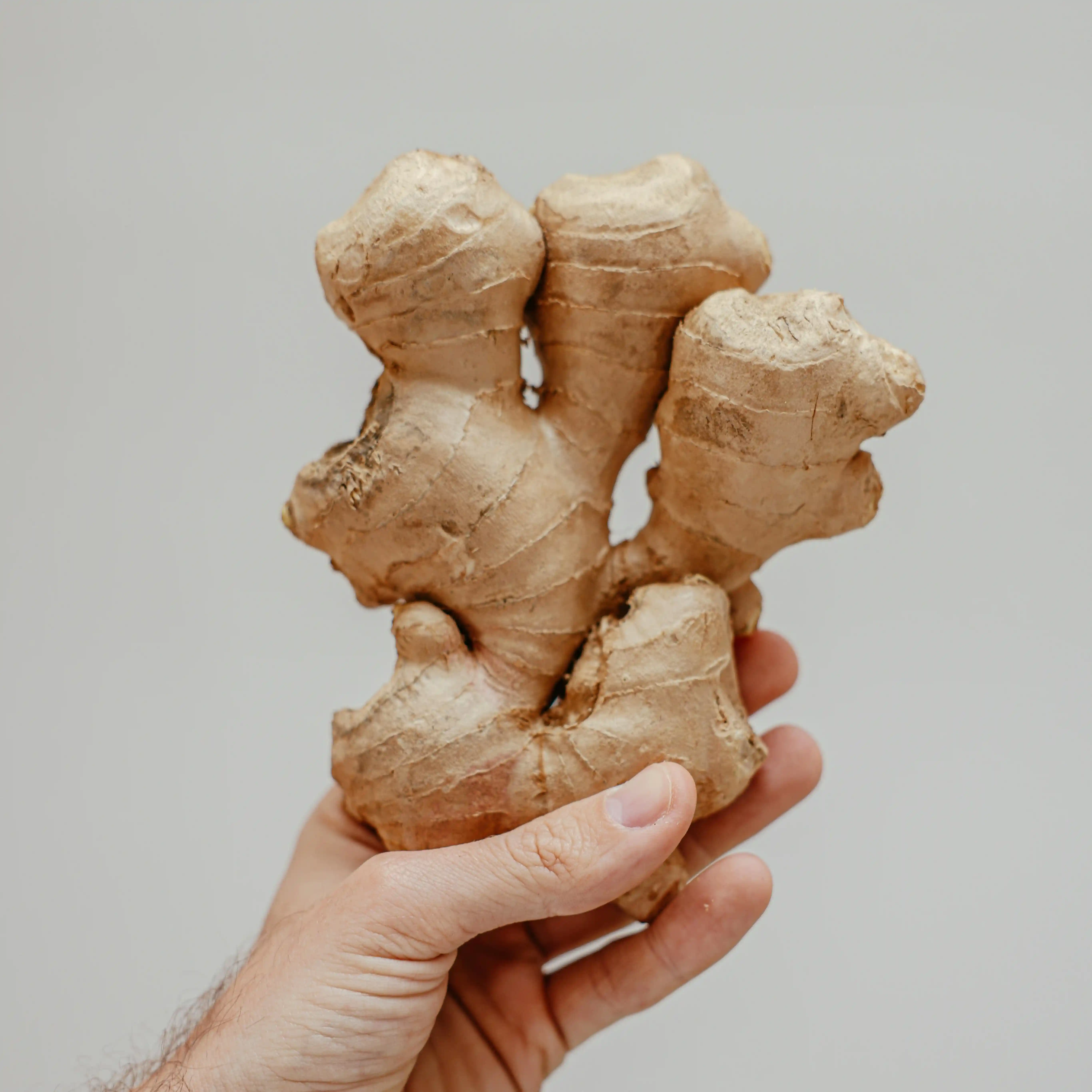 Ginger